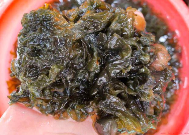 地皮菜是怎么形成的