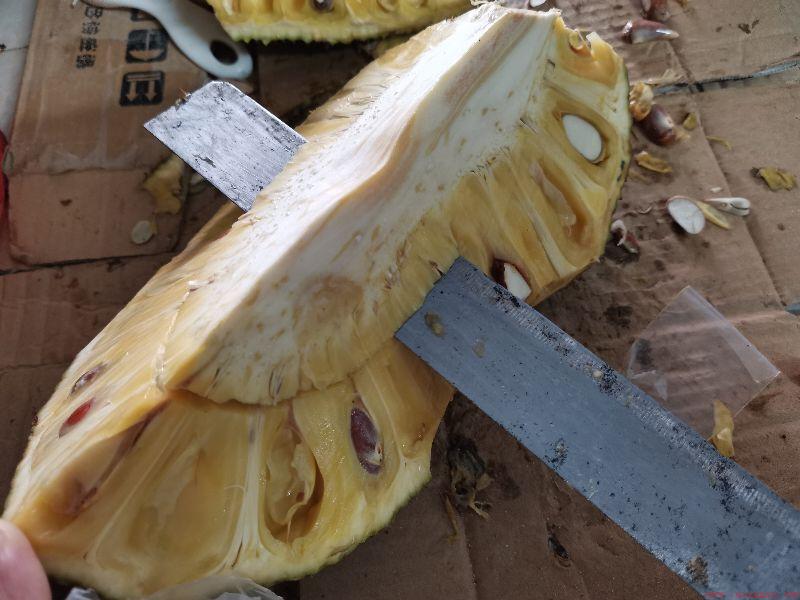 菠萝蜜的汁液粘在手上怎么去除