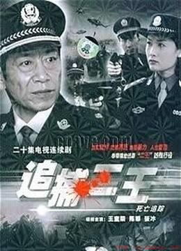 根据真实案件的犯罪电视剧