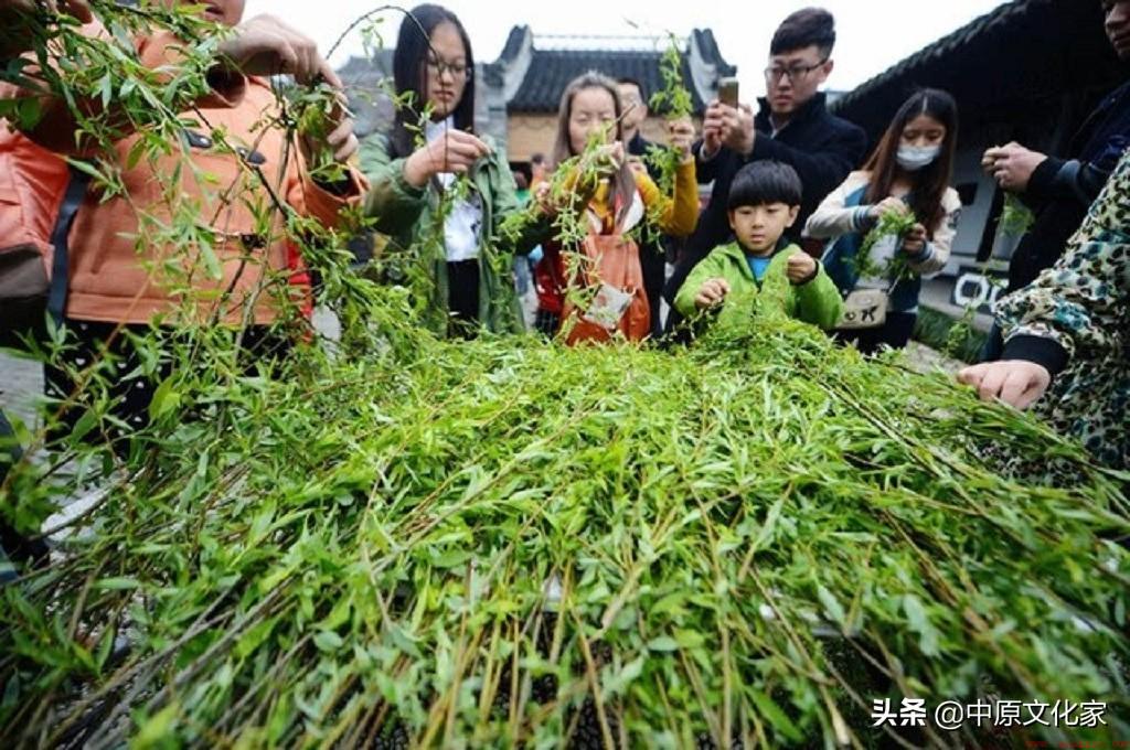 清明节插柳的寓意及象征简短介绍