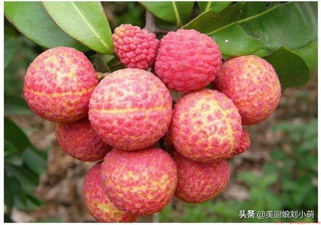 推荐维生素C含量多的10种水果