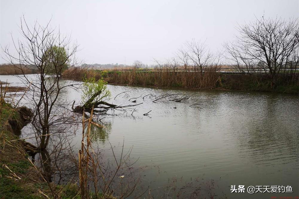 野河钓鱼找鱼窝的常用方法介绍