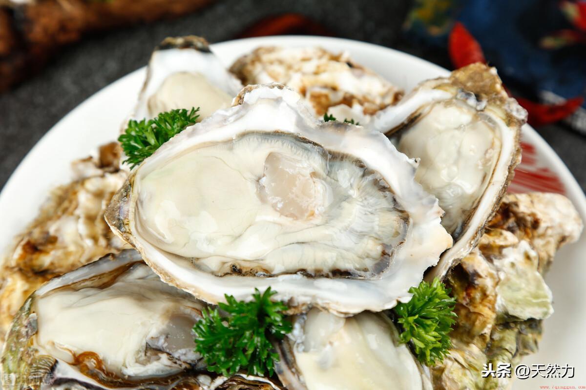 生蚝蒸几分钟最佳时间