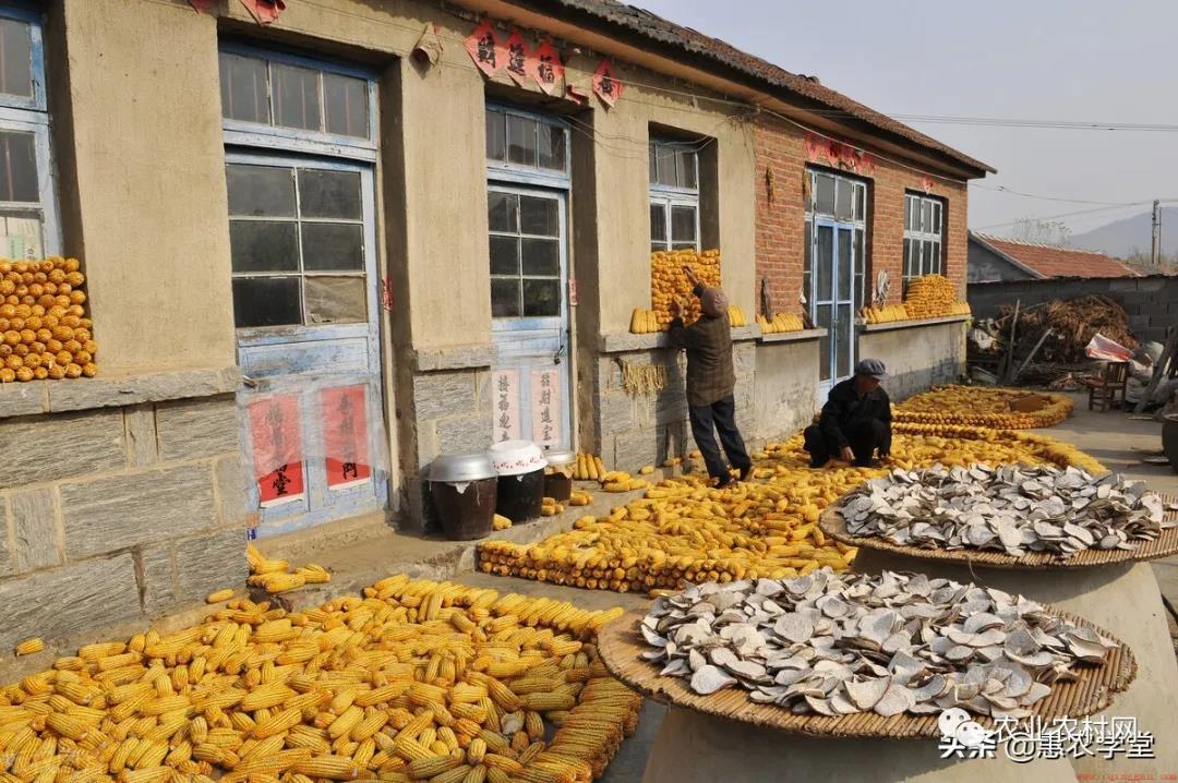 宅基地具体指的是什么性质土地