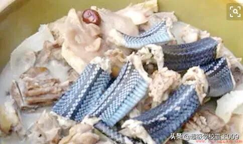 龙虎凤的做法及食用功效