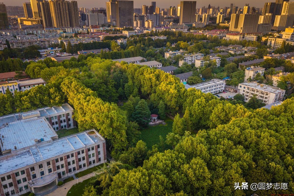 安徽专科学校排名及分数线