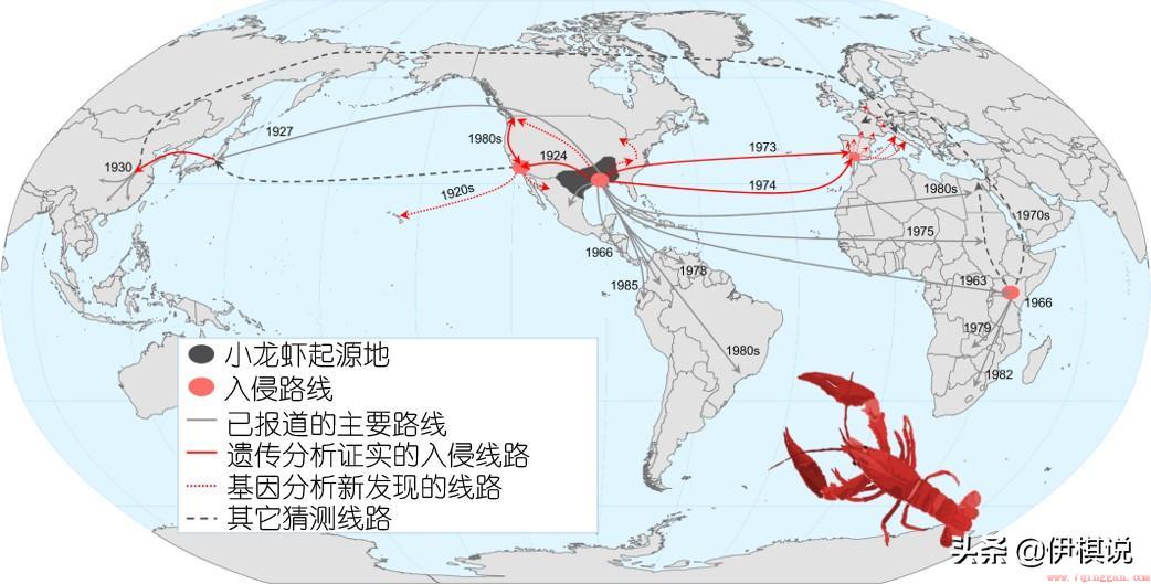 小龙虾什么时候进入中国餐桌（小龙虾在我国市场兴起过程）