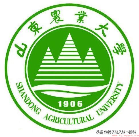 泰安有哪些大学（有关于山东泰安市的五所大学一览）