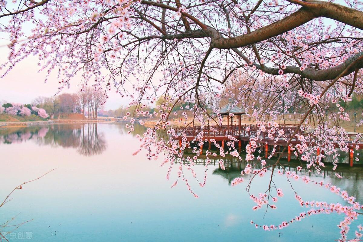 圆明园游玩攻略（盘点有关于北京圆明园的旅游攻略）