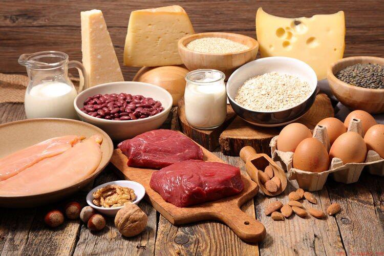 富含高蛋白质的食物（介绍蛋白质含量丰富的食物）
