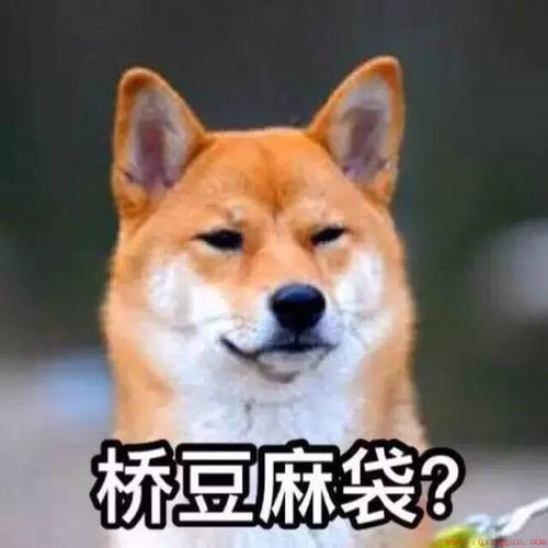 桥豆麻袋日语是什么意思