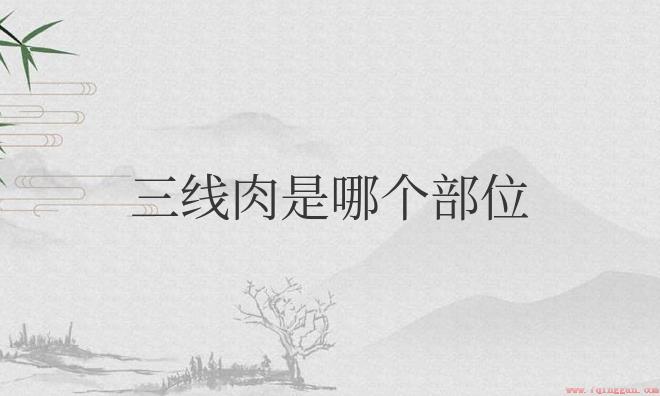 三线肉怎么做最好吃