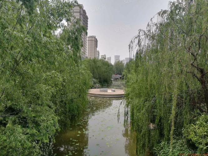 济宁十大高档小区排名