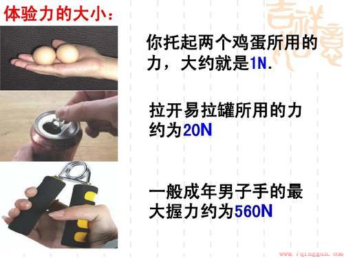 一个鸡蛋多少牛顿的力