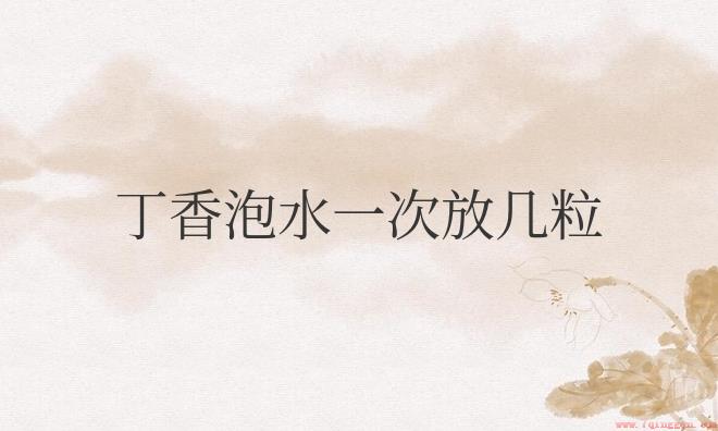 丁香泡水一次放几粒好
