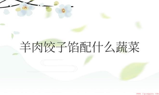 羊肉饺子馅配什么蔬菜好吃