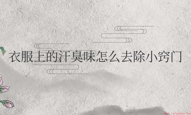 衣服上的汗臭味怎么去除小窍门
