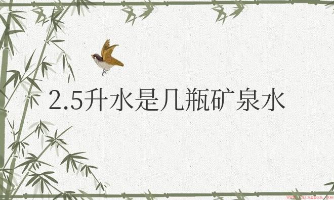 2.5升水是几瓶矿泉水