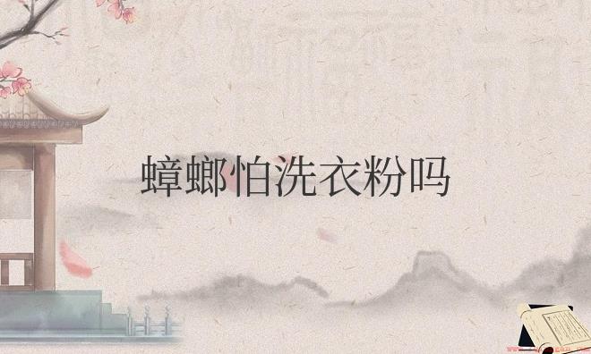 蟑螂怕洗衣粉吗为什么
