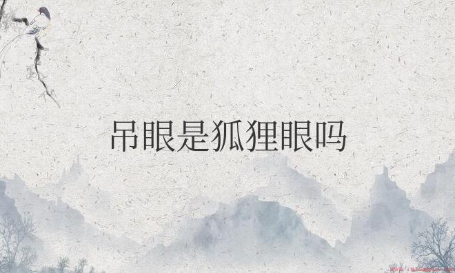 吊眼和丹凤眼区别