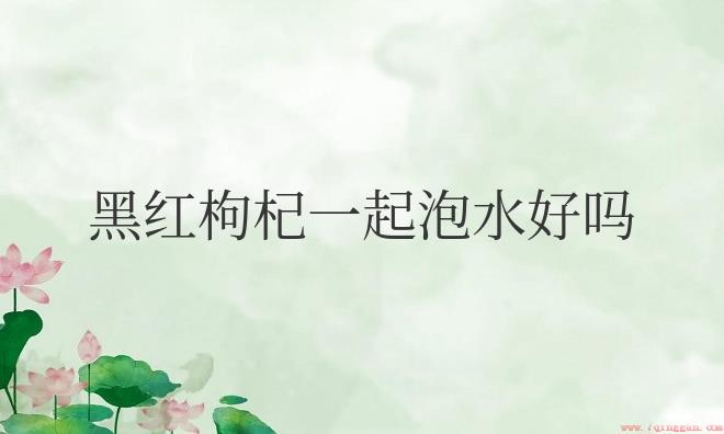 黑红枸杞一起泡水好吗?