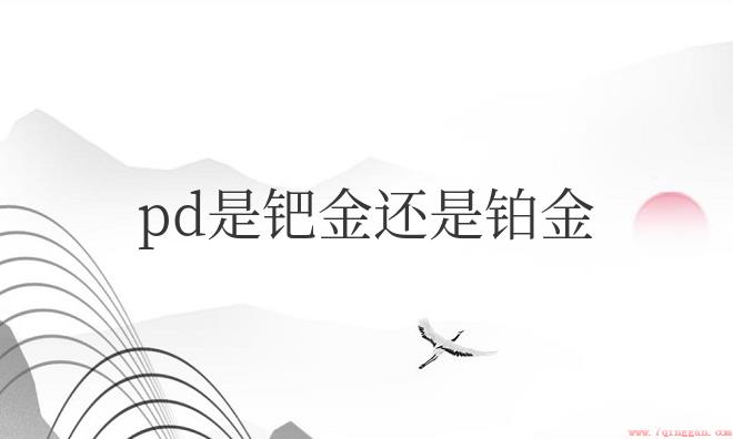 pd是钯金还是铂金哪个贵