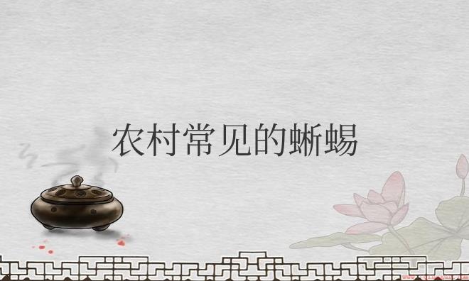 农村常见的蜥蜴有哪种？