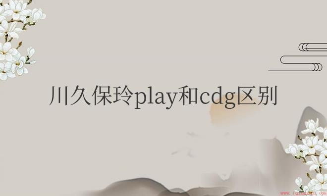 川久保玲play和cdg区别