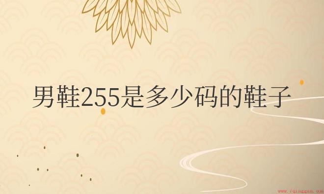 男鞋255是多少码的鞋子