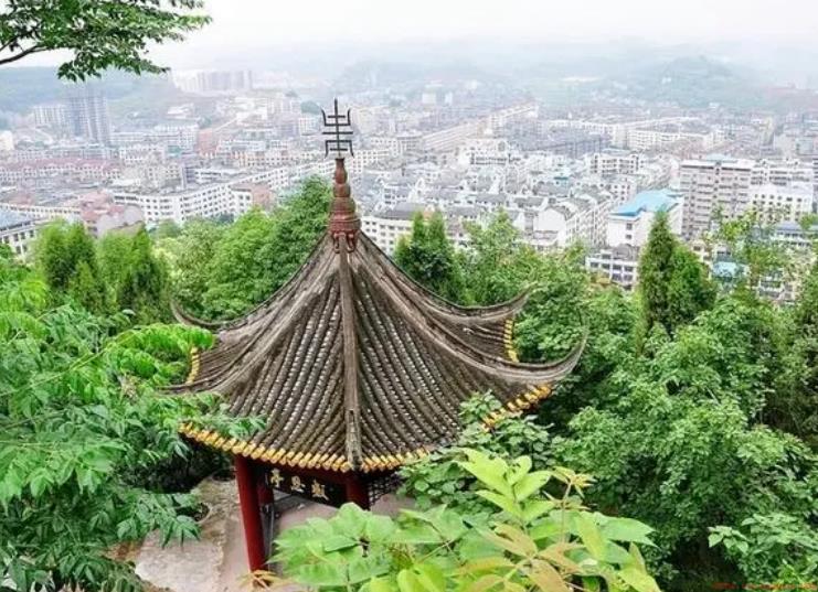 1697614808564000153.png 图片.png