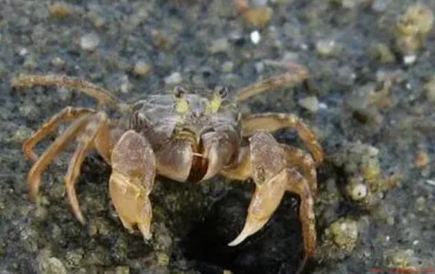 1697615357219063010.png 图片.png