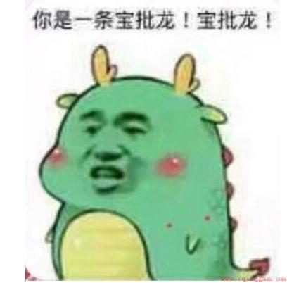 四川话宝批龙什么意思