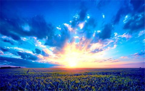 夸奖摄影水平高的句子