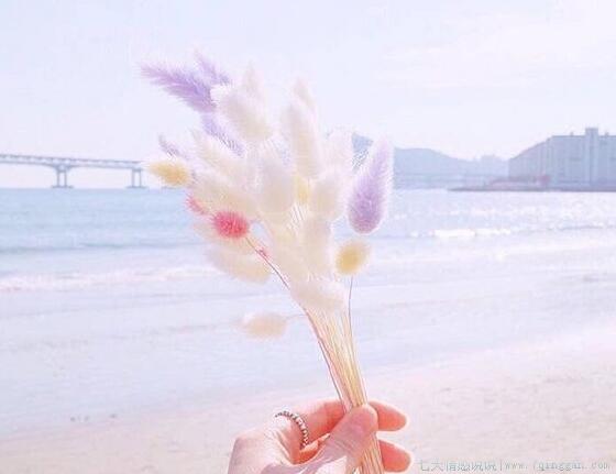 缘分的说说