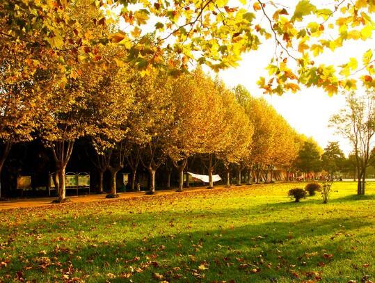 适合闺蜜的句子