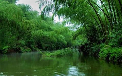 5~10字精美句子三年级