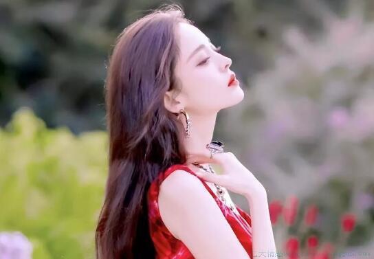 惊蛰优美句子短句