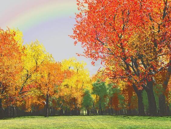 说自己矮的搞笑句子