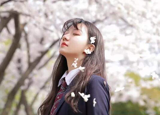适合清明节的句子