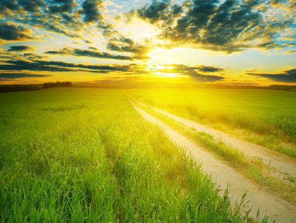 愿一切顺利的唯美句子