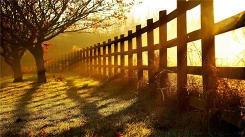 人情淡薄的句子