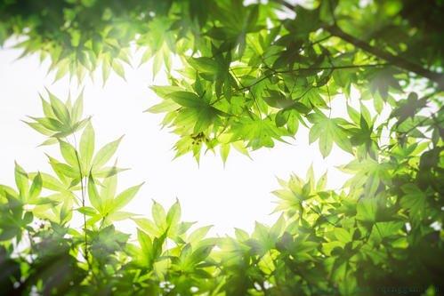 玩够了该收收心的说说