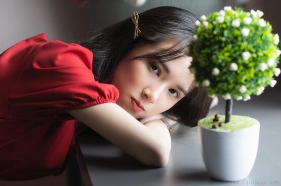 关于抒情议论的好句子