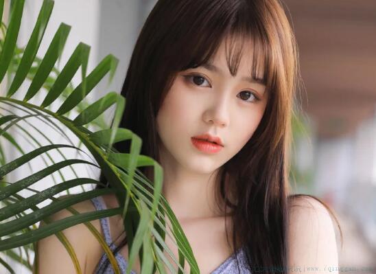 朋友圈晚安的句子