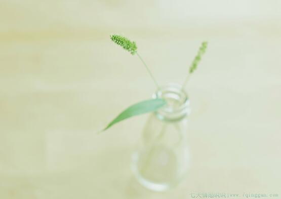 放慢脚步的优美句子