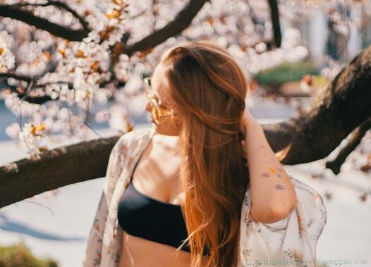 朝花夕拾里面的优美句子