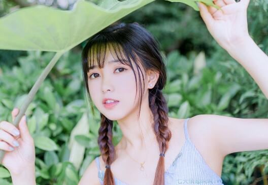感悟人生语录