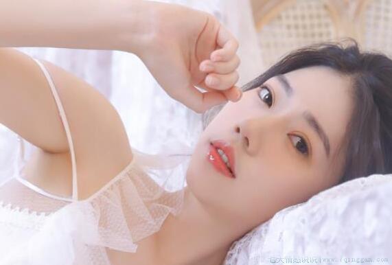 描写菊花姿态的句子