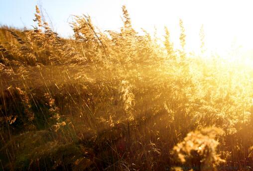 健康快乐的句子