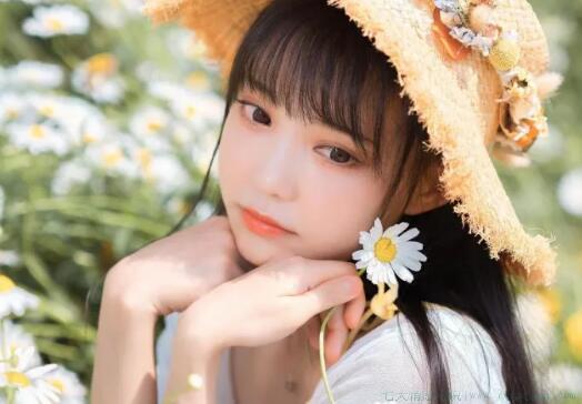感恩老师的唯美句子